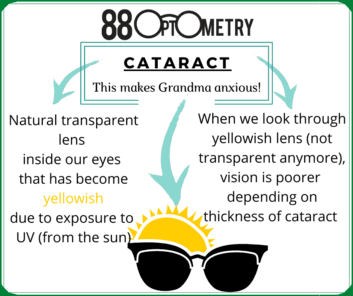 You are currently viewing What is this Cataract that makes Grandma so anxious?