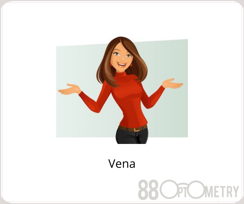 Read more about the article VENA